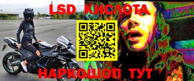стафф Новокубанск