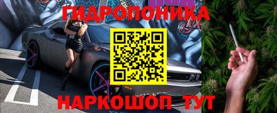стафф Новокубанск