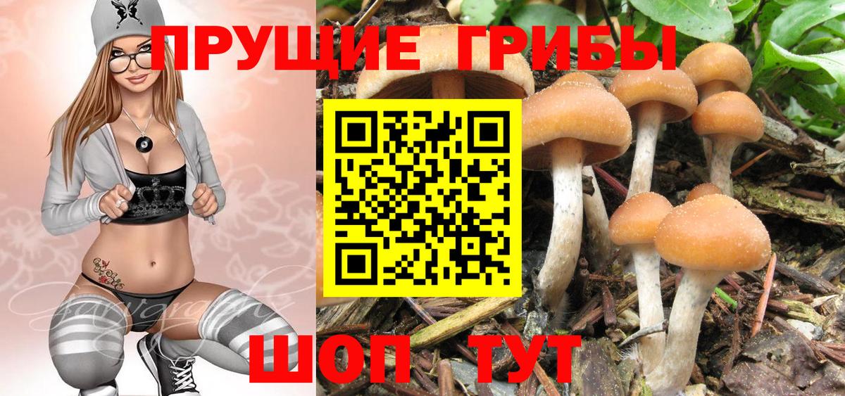 Псилоцибиновые грибы ЛСД Ханты-Мансийск